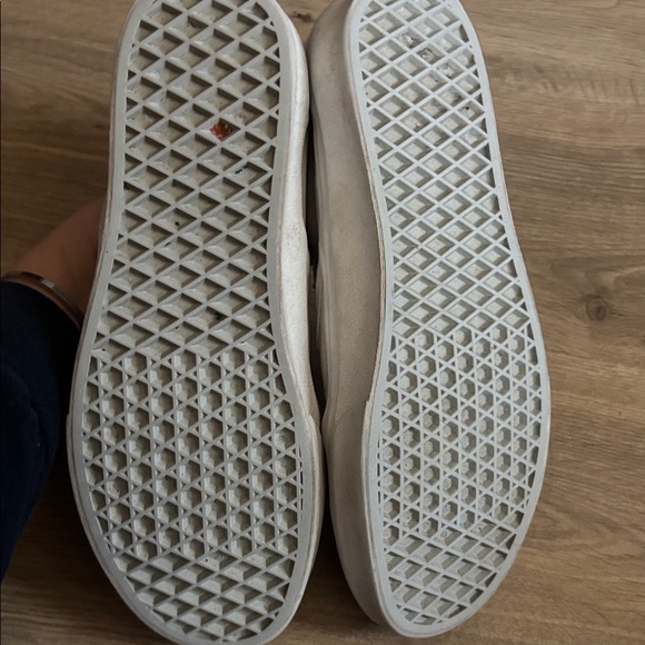 Project Vans - Picture 4 of 5